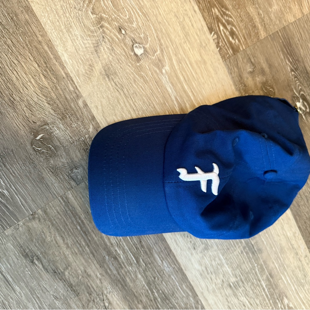Blue Baseball Cap With White Embroidered Logo  Men